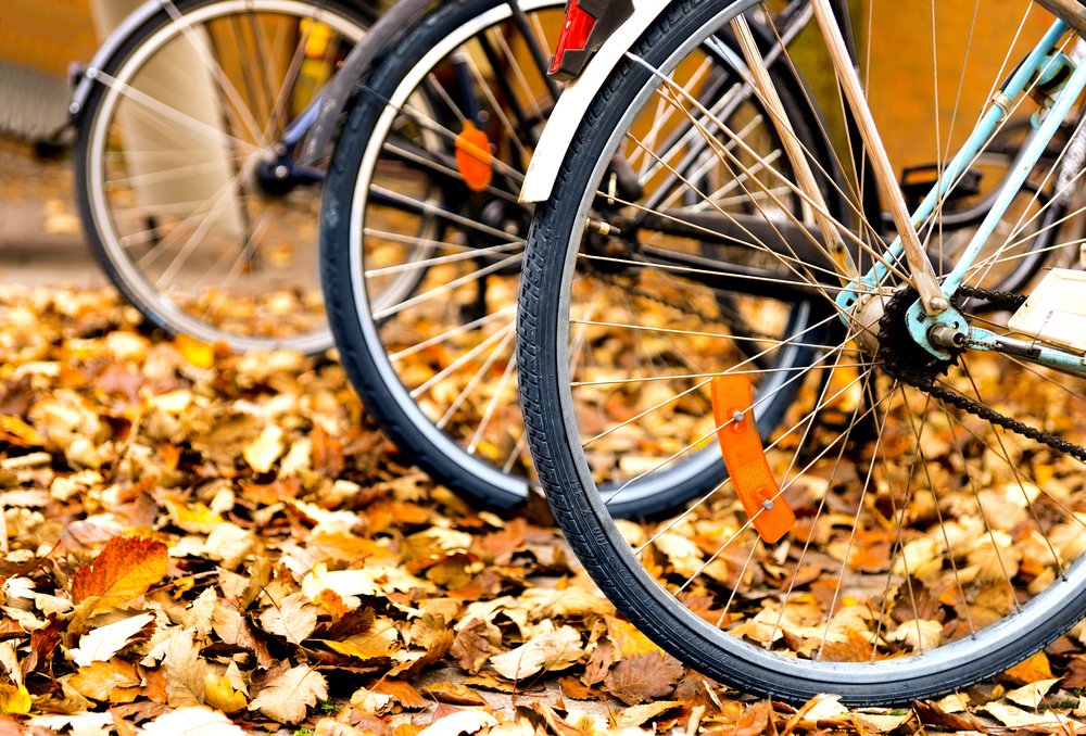 Jak si užít kolo na podzim i brzy na jaře