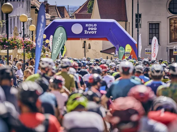 Kolo pro život 2026: Přibylo dětí, gravel na vzestupu