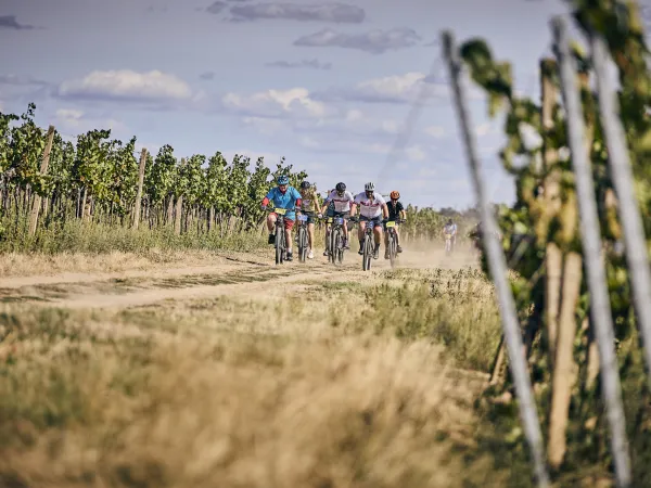 DIRECT ZNOJMO BURČÁK TOUR 2026 - SOBOTA